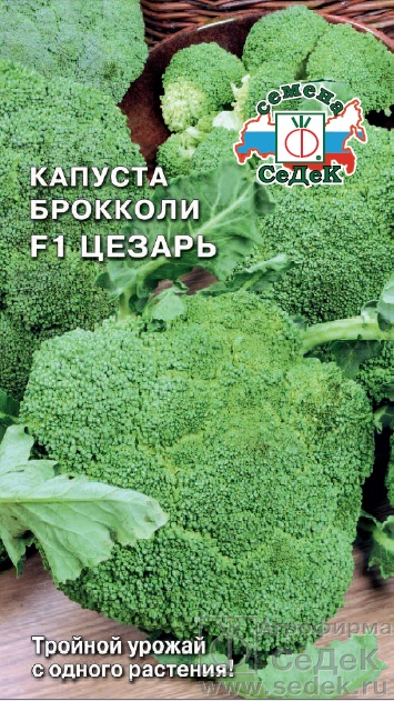 Капуста Брокколи Цезарь F1 раннеспелая 0,3гр Седек/ЦВ