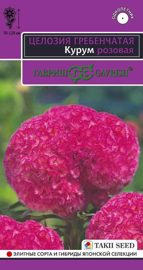Целозия гребенчатая Курум Розовая 70-120см, однол 8шт Гавриш/ЦВ 1/10