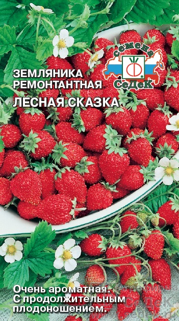 Земляника Лесная Сказка ремонтантная, безусая 0,04гр Седек/ЦВ
