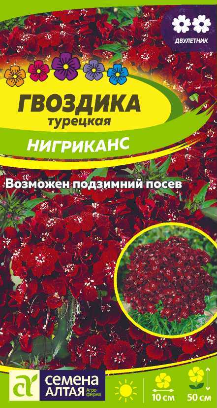 Гвоздика турецкая Нигриканс темно-бордовая, 50см, двул 0,1гр СА/ЦВ
