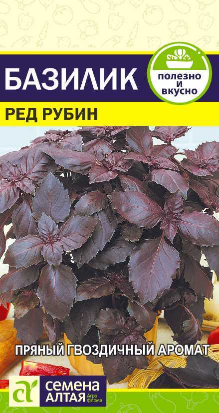 Пряность Базилик Ред Рубин среднеспелый, фиолетово-красный 0,3гр СА/ЦВ