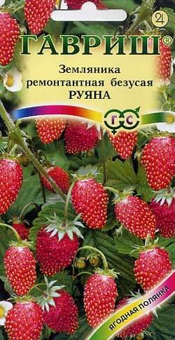 Земляника Руяна ремонтантная, не образует усов 0,03гр Гавриш/ЦВ