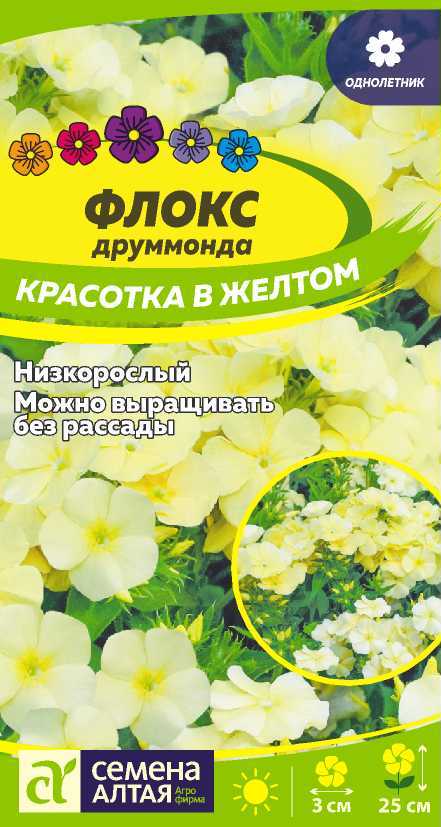 Флокс друммонди Красотка в Желтом низкор, пастельно-желтый, 25см, однол 0,1гр СА/ЦВ