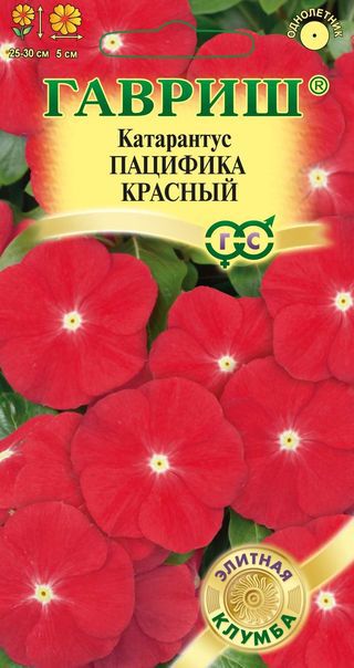 Катарантус Пацифика Красный крупноцв 25-30см 5шт Гавриш/ЦВ