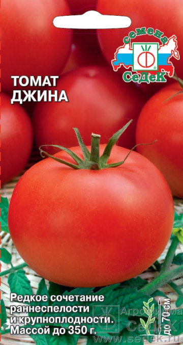 Томат Джина среднерос, раннеспелый, оранжево-красный, крупнопл 0,1гр Седек/ЦВ