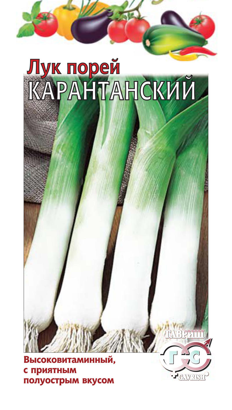 Лук Порей Карантанский позднеспелый, полуострый 0,2гр Гавриш/БП
