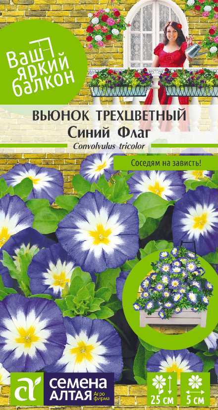 Вьюнок Трехцветный Синий Флаг 0,5гр СА/ЦВ