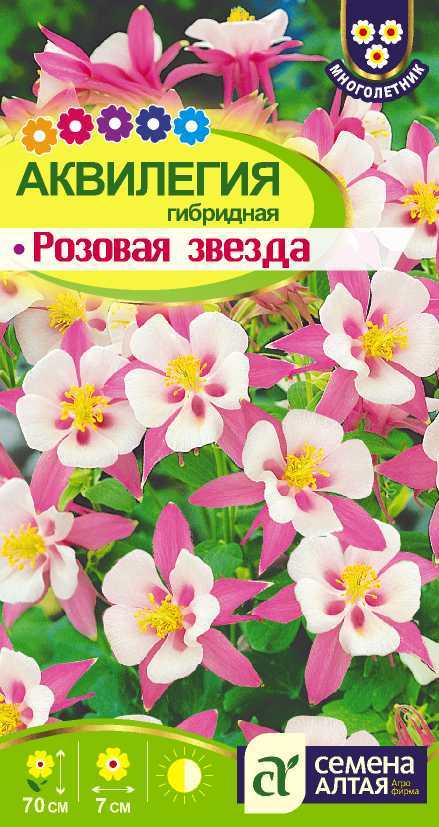 Аквилегия Розовая Звезда гибрид, розовая, 70см, мног 0,1гр СА/ЦВ