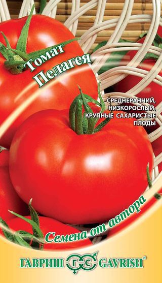 Томат Пелагея низкор, раннеспелый, красный, крупнопл 0,05гр Гавриш/ЦВ