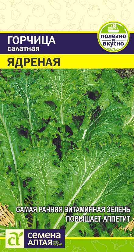 Горчица Ядреная листовая салатная, среднеспелая 0,5гр СА/ЦВ