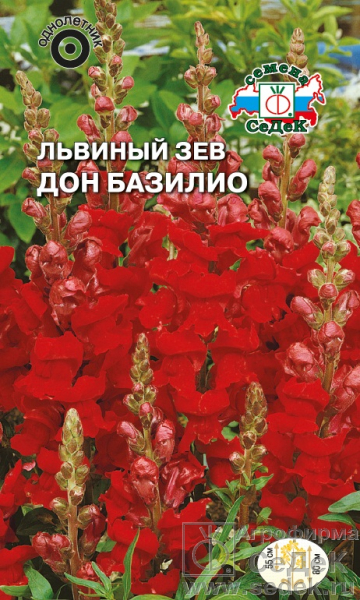 Львиный зев высокор Дон Базилио ало-красный, 80см, однол 0,1гр Седек/ЦВ