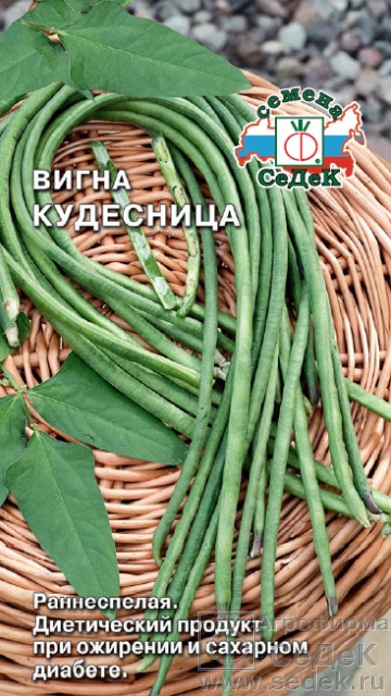 Фасоль Вигна Кудесница раннеспелая, зеленая, вьющ, 60-70см 3гр Седек/ЦВ