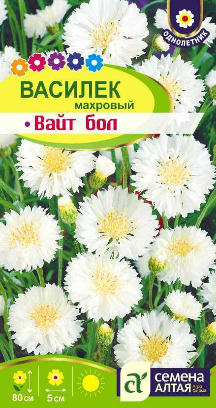 Василек Вайт Бол махр, белоснежный, однол, до 80см 0,5гр СА/ЦВ