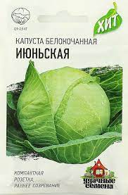 Капуста бк Июньская раннеспелая ХИТ 0,1гр Гавриш/ЦВ