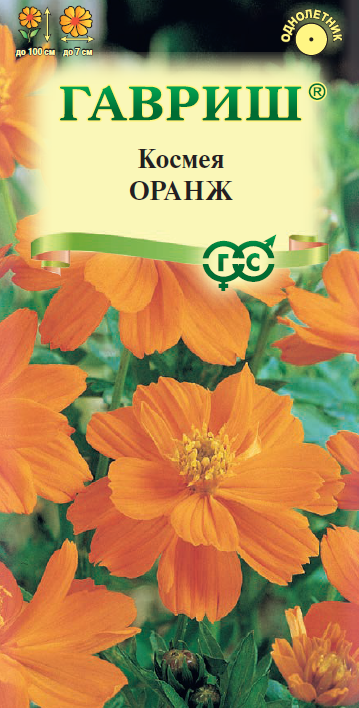 Космея Оранж махровая, ярко-оранжевая, до 100см, однол 0,3гр Гавриш/ЦВ