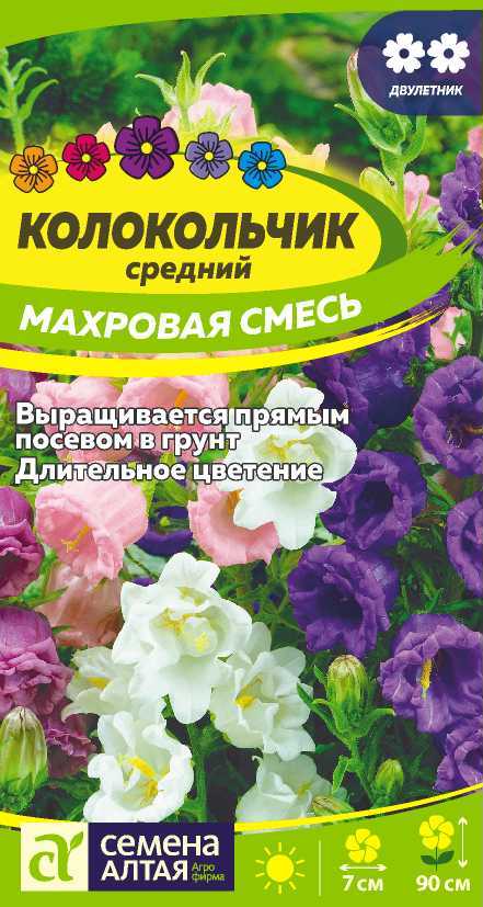 Колокольчик средний Махровая смесь, двулет 0,1гр СА/ЦВ