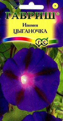 Ипомея Цыганочка вьющ, крупноцв, почти черная, до 2м, однол 0,5гр Гавриш/ЦВ