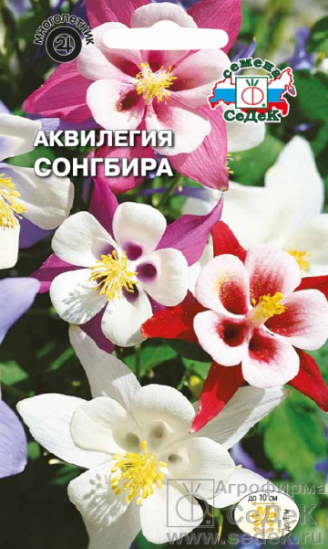 Аквилегия Сонгбира смесь 1м, мног 0,05гр Седек/ЦВ