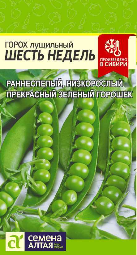 Горох Шесть Недель лущильный, раннеспелый 10гр СА/БП 1/20
