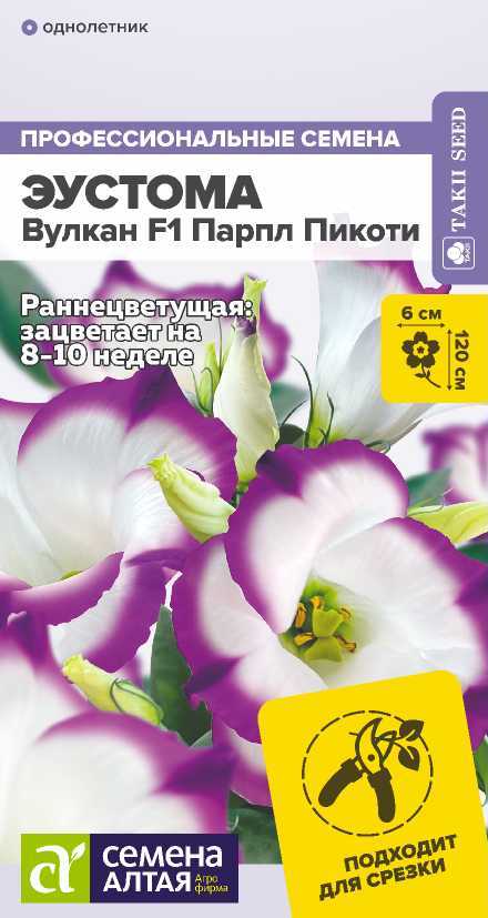 Эустома Вулкан F1 Парпл Пикоти белая с пурпурным краем, до 100-120см, однол 5шт СА/ЦВ