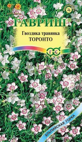 Гвоздика травянка Торонто белая с красным кольцом в центре, 15см 0,05гр Гавриш/ЦВ
