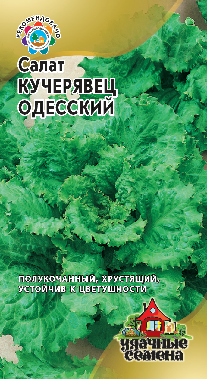 Салат Кучерявец Одесский полукочанный, среднеспелый 0,5гр Гавриш/ЦВ 1/10