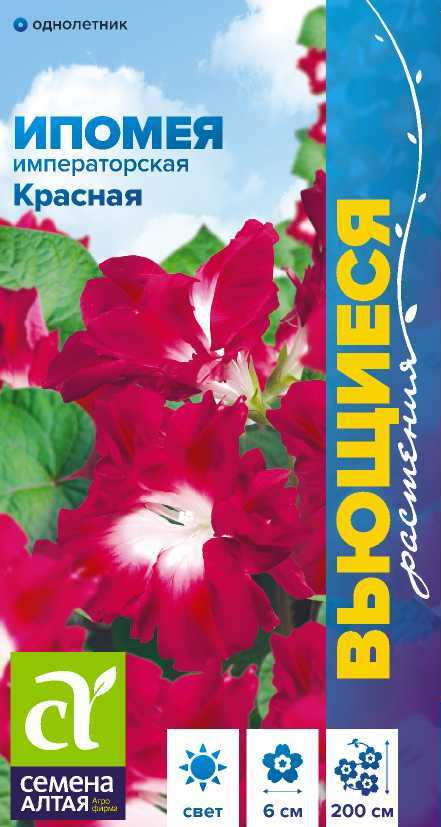 Ипомея Императорская Красная вьющ, красная с белым центром, 2м, однол 0,2гр СА/ЦВ