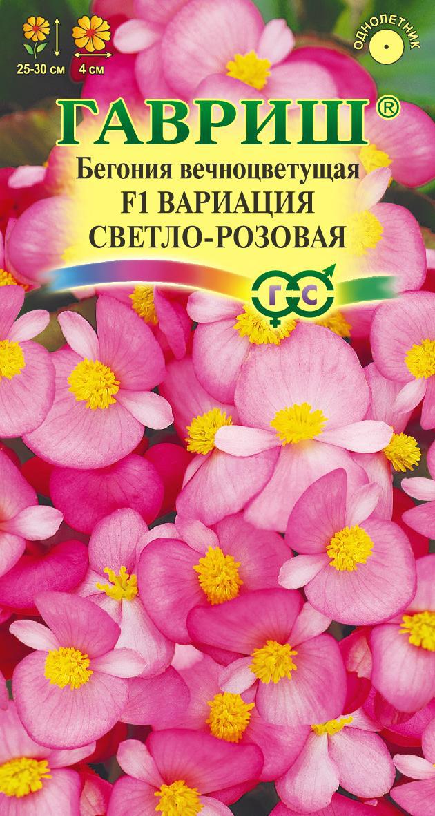 Бегония Вариация Светло-розовая F1 вечноцв, 25-30см, комн 5шт Гавриш/ЦВ