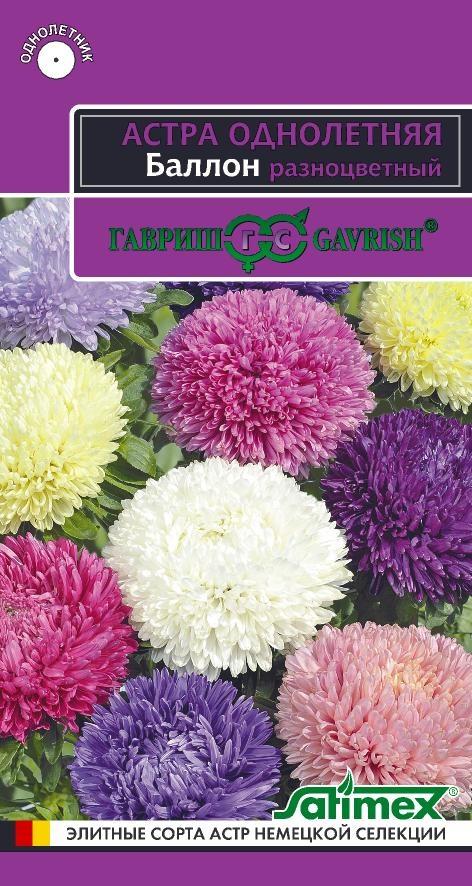 Астра Баллон Разноцветный густомахр, 50-60см, однол 0,05гр Гавриш/ЦВ 1/10