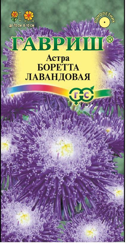Астра Боретта Лавандовая густомахр, до 70см, однол 0,3гр