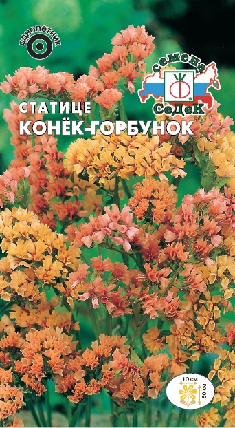 Статица Конек-Горбунок срезочный сухоцвет, абрикосовая 80см, однол 0,2гр Седек/ЦВ
