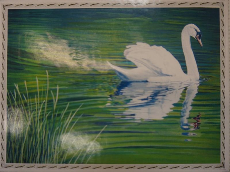 Картина камни Лебедь W135 40*50, 60*35 в асс