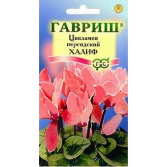 Цикламен персидский Халиф серебристо-лососевый, 15-20см 3шт Гавриш/ЦВ