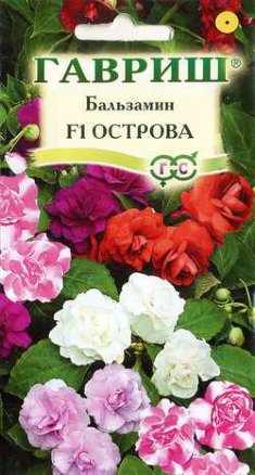 Бальзамин Уоллера Острова Смесь махр/полумахр, до 30см, однол 4шт Гавриш/ЦВ 1/10