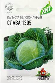 Капуста бк Слава 1305 среднеспелая, для квашения ХИТ 0,5гр