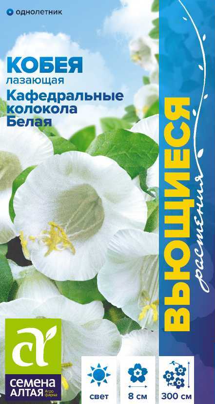 Кобея лазающая Кафедральные Колокола вьющ, белая, до 3м, однол 5шт СА/ЦВ