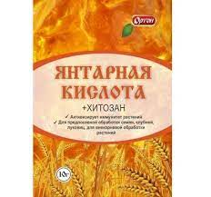 Янтарная кислота 10гр 1/100