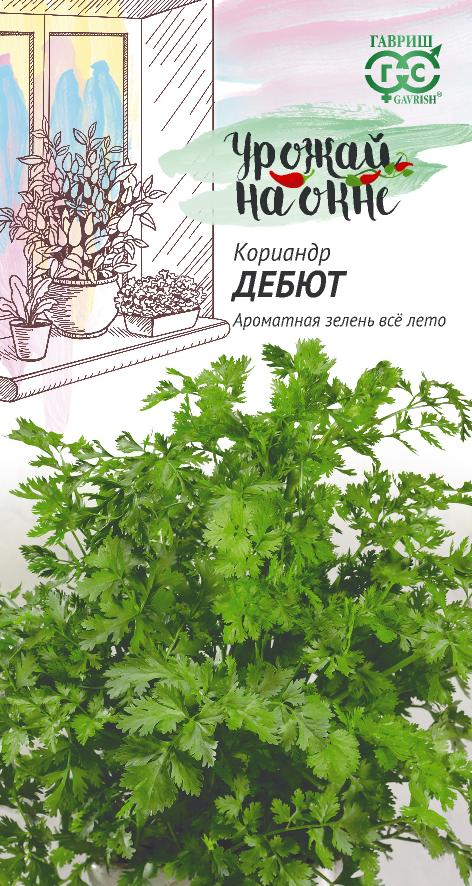 Пряность Кориандр (Кинза) Дебют среднеспелый 2гр Гавриш/ЦВ