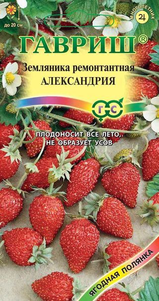 Земляника Александрия раннеспелая, ремонт, не образует усов 0,03гр Гавриш/ЦВ