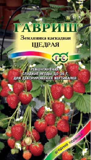 Земляника Щедрая ремонтантная, раннеспелая, крупноплодная 4шт Гавриш/ЦВ 1/10