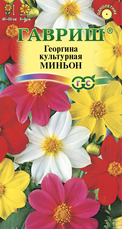 Георгина Миньон простая смесь, 40-50см 0,3гр Гавриш/ЦВ