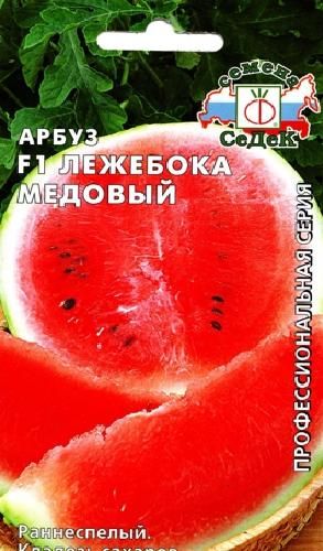 Арбуз Лежебока Медовый раннеспелый, 3-5кг 1гр Седек/ЦВ 1/10