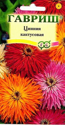 Цинния Кактусовая махр смесь, до 90см, однол 0,5гр