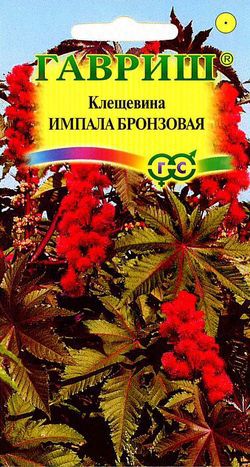 Клещевина Импала Бронзовая 1,2м, однол 5шт Гавриш/ЦВ