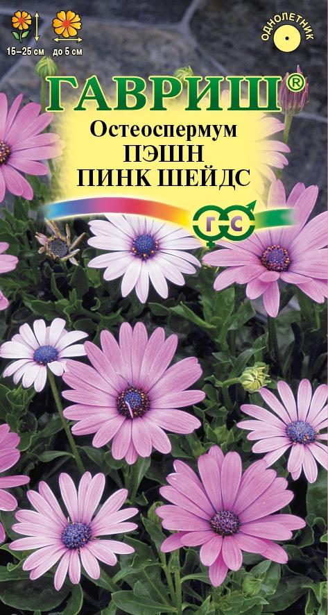 Остеоспермум Пэшн Пинк Шейдс розовый, 15-25см, однол 3шт Гавриш/ЦВ