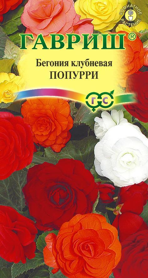 Бегония Попурри F1 4шт Гавриш/ЦВ