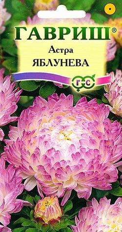 Астра Яблунева пионов, белая с розовым напылением, 65см, однол 0,3гр