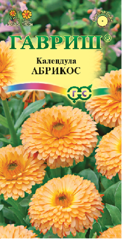 Календула Абрикос густомахр, крупноцв, оранжевая, 50-60см, однол 0,5гр/0,3гр Гавриш/ЦВ