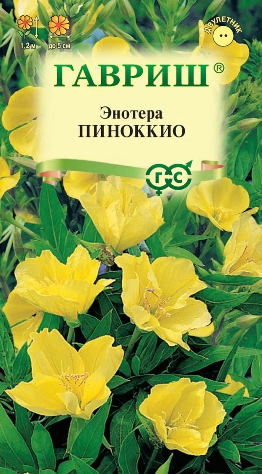 Энотера Пиноккио лимонно-желт 120см двулет 0,3гр Гавриш/ЦВ 1/10
