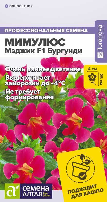 Мимулюс Мэджик Бургунди F1, 25см 10шт СА/ЦВ
